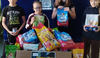 Zbiórka karmy dla zwierząt ze schroniska