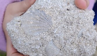 Wycieczka klas III do rezerwatu Czartowe Pole