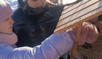 Zimowe dokarmianie ptaków przez uczniów klasy IIa, IIb i IIIa