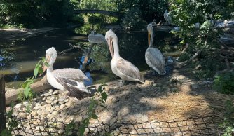 Wycieczka szkolna do Wiednia i Morawskiego Krasu